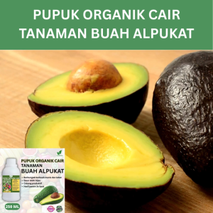 Pupuk Buah Alpukat 250 ML /Pupuk Booster Alpukat Cepat Berbuah Lebat/Pupuk Cair Alukat