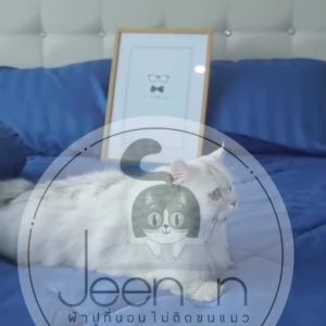 ผ้าปูที่นอน พร้อม ผ้านวม 6 ฟู รัดมูม 3.5ฟู 5ฟู 6ฟู ผ้านุ่มลื่น รุ่น Jeenon