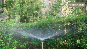 Pengairan Rumput Air 360°  Muncung Pemercik Turf Garden Sprinkler Nozzle (1/2" 15mm PVC) Water Lawn Irrigation 360° Splashing Farming  4分塑料可调台式喷头 洒水器