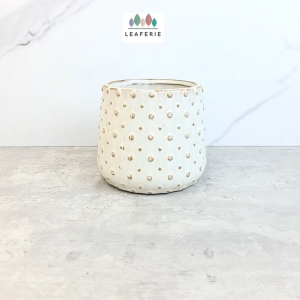 The Leaferie Laura plant pots. flowerpot . flowerpots . flower pot . planter . planters . Ceramic