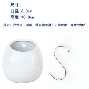 Bình Hoa Treo Trang Trí Nhà Bằng Gốm Trắng Đơn Giản Cho Cây Cỏ Treo Và Hoa Cactus