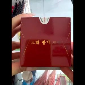 Combo kem face ngày và đêm Hàn Quốc NL104 chuyên về da nám dưỡng trắng phục hồi tái tạo da 20g