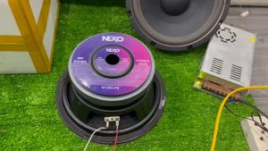 LOA BASS 25 NEXO TÍM HÀNG GÂN MÚT TỪ 170 COIL 65- HÁT KARAOKE BASS SÂU(1 CỦ)