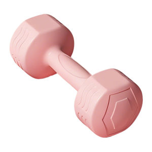 JINGJIE | Home Fitness Dumbbell 2kg Pair