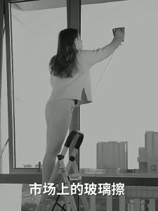 【SG Seller 】Telescopic Window Cleaner Building Retractable Pole Window Device Washing Dust Brush Double Faced Glass Spin Scraper Wiper