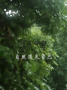 SHUIMUHUACAO | Gel Tắm Hương Thơm Dài Lâu 72 Giờ