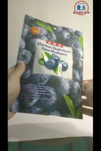 Chen liang ji Manisan buah Blueberry/ Manisan Plum Rasa Blueberry