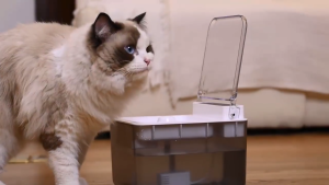 Autobot Aqua Shield Fountain น้ำพุแมวไร้สาย มีแบตในตัว ฝาเปิด-ปิดอัตโนมัติ กรองน้ำสะอาด แมวสุขภาพดี รับประกัน 1 ปี