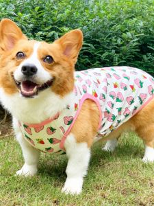 Quần Áo Cho Chó Corgi Áo Ba Lỗ Chống Nắng Mùa Hè Cho Chó Con Schnauzer Gấu Vừa Và Nhỏ Mẫu Mỏng Mùa Hè