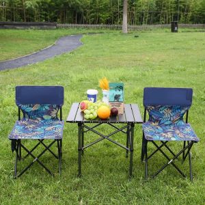 LINSI | Portable Camping BBQ Leisure Folding Chair