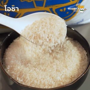 [ ขนาด 19 กก. ] ข้าวหอมมะลิคัดพิเศษ ตราโอชา ข้าวใหม่ ข้าวหอมมะลิ สำหรับคนรักข้าวนุ่มพิเศษ คุณภาพดี พร้อมส่ง