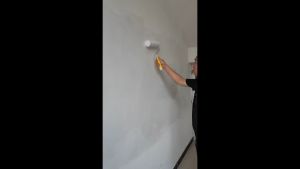 ลูกกลิ้งทาสี ทาสี ขนาด 4 นิ้ว - 7 นิ้ว - 10 นิ้ว Paint Roller