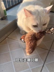 [ส่งของในไทย]นกของเล่นแมว ของเล่นนกกระจอก ของเล่นแมวโต้ตอบนกกระพง ลักษณะการจำลอง ชาร์จได้ ปีกสามารถขยับได้