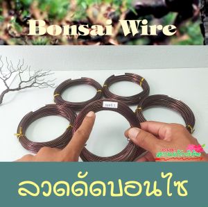 ลวดดัดบอนไซ ราคาประหยัด หลายรายการ น้ำหนัก 100 กรัม