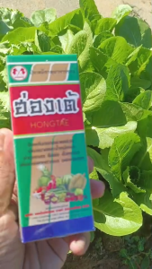 ฮ่องเต้ อโทนิค บำรุงผัก กระตุ้นการเจริญเติบโต เร่งการแตกราก เพิ่มปริมาณรากฝอย ขยายขนาดเซลล์ เพื่อการเติบโตทั้งรากและใบ ทำให้พืชฟื้นตัวจากความเครียด (เช่น อากาศแปรปรวน ศัตรูพืช)ขนาด 100 ซีซี