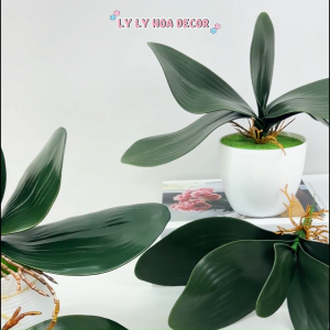 Lá Lan Hồ Điệp Cao Su Trang Trí Nhà Cửa Hàng Văn phòng Sự Kiện. Hoa Lụa Decor