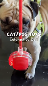 Rechargeable Automatic Rolling Pet Ball Smart Interactive Self Moving Toy Stimulate Hunting Instinct Indoor Entertainment Relieve Boredom Durable Electric Play Exercise Toy for Cats Dogs Daily Supplies
