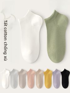 MiiOW | Tất ngắn bằng cotton nguyên chất kháng khuẩn thấm hút mồ hôi thoáng khí chống trượt không có đường may cho nữ mùa hè