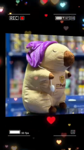 Gấu bông Capybara đeo nón - HKM NutriCare
