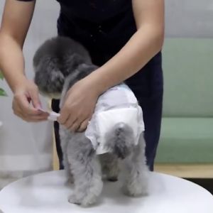 Pet Diapers TTP1 Ryu Popok Anjing Kucing Hewan Peliharaan Anti Bocor
