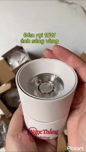 Đèn rọi ống bơ soi gương chiếu tranh gắn tường phòng ngủ phòng khách PT109A Ngọc Thắng