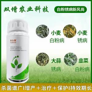 💗🙋♀️💗秀白奥50%醚菌酯水分散粒剂100克 小麦韭菜黄瓜大蒜等白粉病