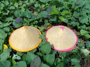 capung tudung tradisional dari anyaman bambu murah