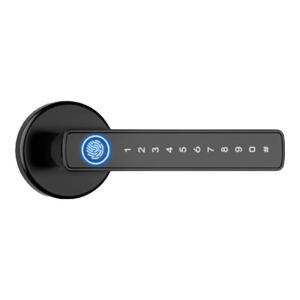 FALEISTON | Fingerprint Password Smart Door Lock