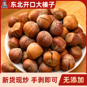 Northeast Opening Big Cobnut Fresh American Big Cobnut Nuts Fresh Northeast Specialty Snacks Non-Wild Filbert