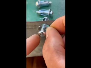 10 ชิ้น/แพ็ค กลีบดอกไม้ น็อต สกรู M4 / M5 / M6 / M8 พุกร่ม แจ็ค น็อต รถ โลหะ สกรู กลีบดอกไม้ พร้อมสกรู สําหรับผิวเหล็ก ผนังกลวง