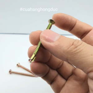 Vít Ngói 5cm Mạ Vàng Thái Minh (Giá bán cho 100 gam)