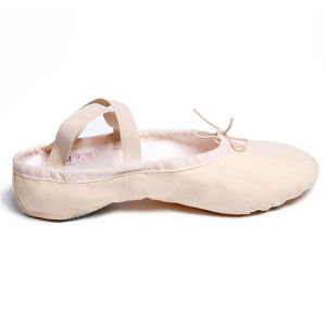 Sansha Sansha Canvas Pink Professional Dancing Shoes