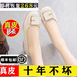 Casual Style Soft Bottom Anti-Slip Thick Heel Slip-On Single Shoes Korean Version Commute Versatile Lightweight Leather Shoes
