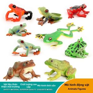 Hình Ảnh Động Vật Lưỡng Cư Giáo Dục Thực Tế