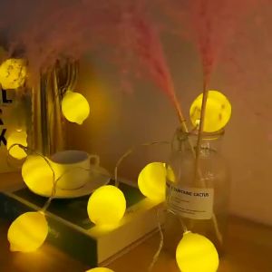 Lemon LED String Lights Warm Fruit Fairy Lights Battery Operated Decorative Lights for Christmas Tree Bedroom Patio Party