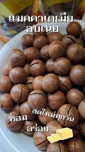 แมคคาเดเมีย อบเนย Macadamia พร้อมทาน หอม กรอบ อร่อย เคี้ยวเพลิน ธัญพืชเพื่อสุขภาพ มีประโยชน์