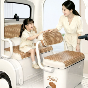 UV Protection Electric Tricycle Seat Cover