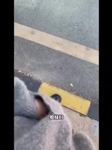 Car Color-changing Roast Duck Pendant UV Temperature-sensing Color-changing Keychain Car Decoration Ornament Creative Pendant Cute Zweicx