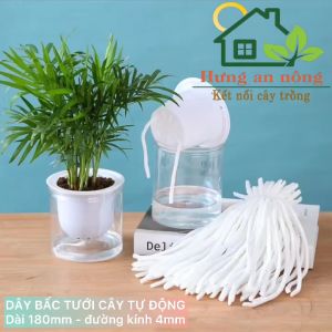 Sét 100 dây bậc thấm hút nước tưới cây tự động có thể sử dụng từ 7-15 ngày sau khi thêm nước một lần size 180x4mm
