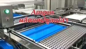 คลิปวิดีโอแคปซูลเปล่าเจลาติน - สีขาวขุ่น เบอร์ 0-500 มก - 1ห่อ บรรจุ 1000 แคปซูล