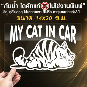 สติ๊กเกอร์น้องแมว จอมมึน MY CAT IN CAR ในรถมีเด็ก ขนาด 14x20 ซ.ม