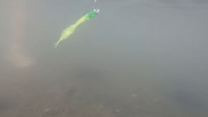 ปลายาง หนอนยาง เหยื่อยาง 7.5cm 1.3g ปลายาง 2 ซึ่งเป็น 3 ชุด เหยื่อยาง ครบชุด พร้อมกล่อง อุปกรณ์ตกปลา ตกปลา