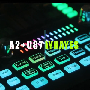 RAYHAYES Bluetooth Live Sound Card with Condenser Microphone Set for DJ Gaming Recording Live Streaming