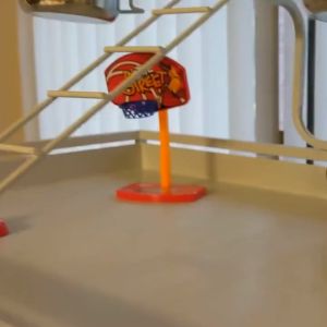 Pet Bird Play Toy Parrot Basketball Hoop Prop + 5pcs Balls Birds Chew Toy Brain Game