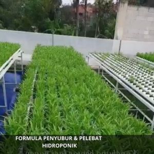 Pupuk Buah Hidroponik / Pupuk Hidroponik Untuk Tanaman Buah / Obat Pupuk Penyubur Buah Hidroponik