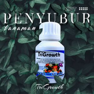 Zpt Penyubur Tanaman Sayuran Pelebat Daun & Buah