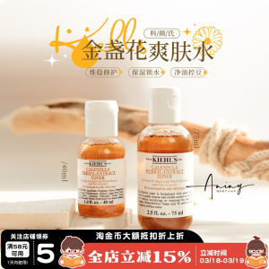 Kiehls | Pore Minimizing Oil Control Skincare Sample