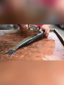 ขูดเกล็ดปลาด้วยไฟฟ้าและฆ่าสิ่งประดิษฐ์ของปลา มีดอัตโนมัติเกล็ดปลา ที่ขูดเกล็ดปลา ที่ขูดเกล็ดปลาราคาถูก ไม้พายมะพร้าว เครื่องขูดผัก สามารถต่อไฟ 220V และ 12V ได้ เครื่องขูดเกล็ดปลาไฟฟ้าแบบพกพาที่ขูดปลาอัตโนมัติกันน้ำ