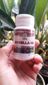 Rosella HNI - Menurunkan Kadar Kolestrol
