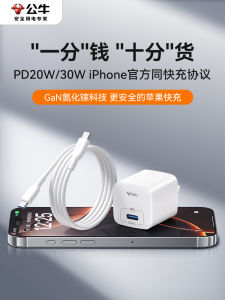 Bull 30W USB-C Power Delivery Charger with Type-C Data Cable  16 Charging Head 15Promax Charging Head Data Line Plug Set